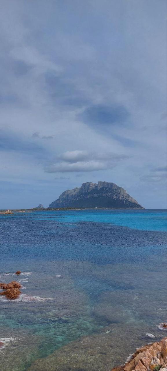 Porto San Paolo A 50 Mt Dal Mare Villa Стая снимка