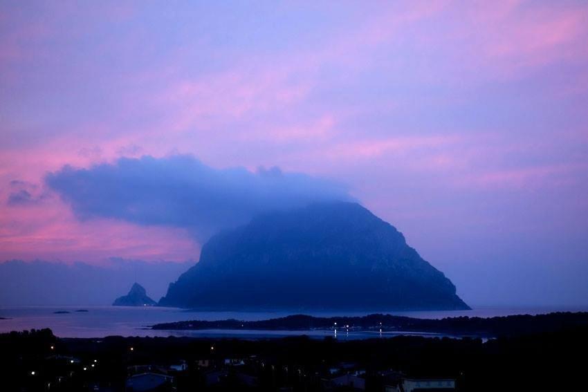 Porto San Paolo A 50 Mt Dal Mare Villa Стая снимка