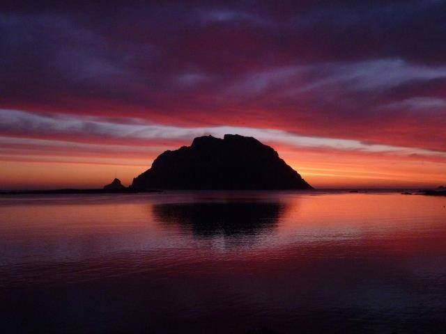 Porto San Paolo A 50 Mt Dal Mare Villa Стая снимка