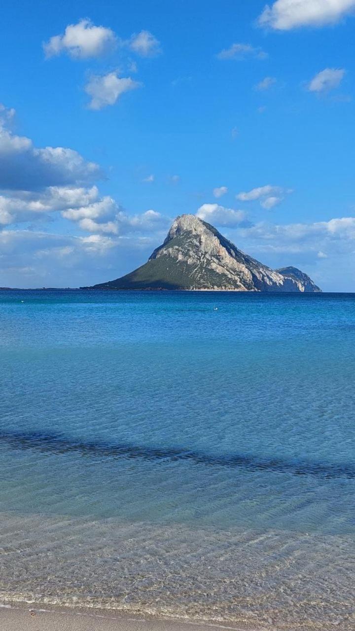 Porto San Paolo A 50 Mt Dal Mare Villa Стая снимка