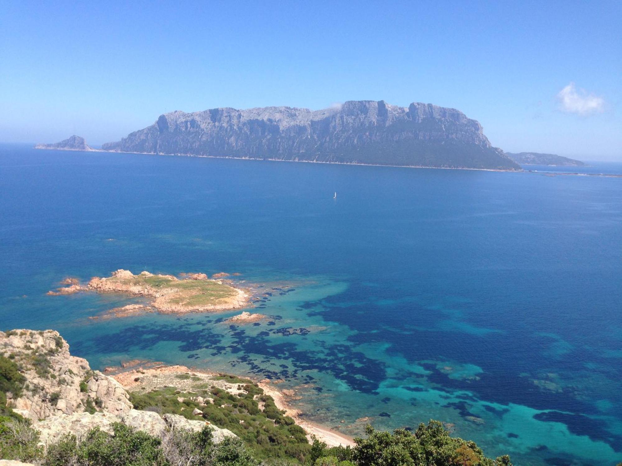 Porto San Paolo A 50 Mt Dal Mare Villa Стая снимка